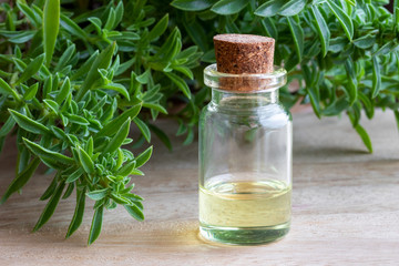A bottle of mountain savory essential oil with fresh Satureja montana