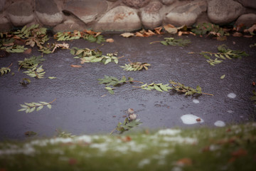 Frozen decorative pond in the garden in autumn