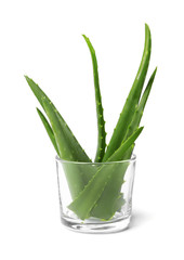 Glass with aloe vera leaves on white background