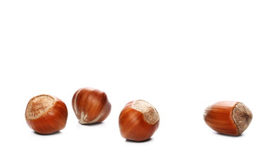 Pile of hazelnuts isolated on white background