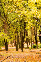 Осень Заволжье