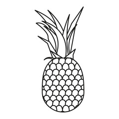 tropical pineapple fruit isolated design