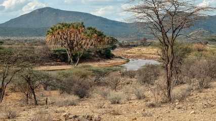 River against an arid background, Ewaso Nyiro River in Samburu, Kenya