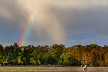 Mein Einhorn läuft zum Regenbogen © Lilli