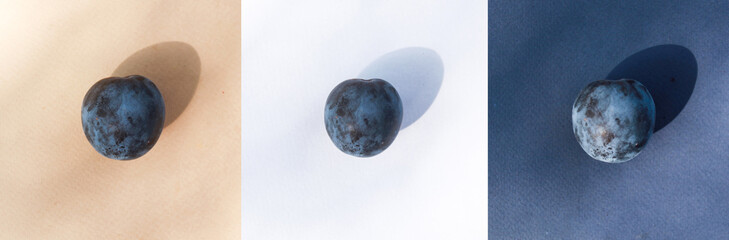 blue plum on beige, white and blue background