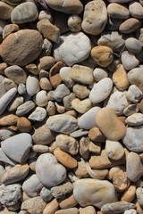 A lot of grey, brown and white smooth stones