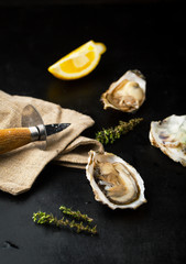 Fototapeta na wymiar Fresh oysters with lemon