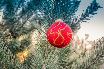 The branches of Christmas trees, toy