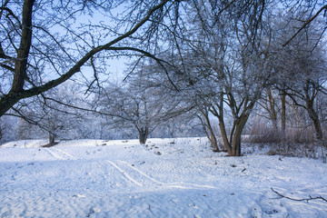 snow slide in the park