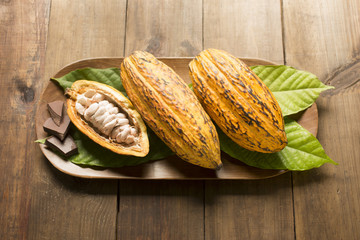 Semilla y frutas del Cacao