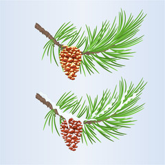 Fototapeta premium Set of Christmas and New Year decoration pine cones golden and snow pine cones fir tree branches vintage vector illustration editable hand draw