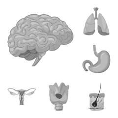 Vector illustration of body and human icon. Set of body and medical stock vector illustration.