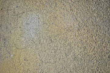 Texture Painted Concrete Wall 