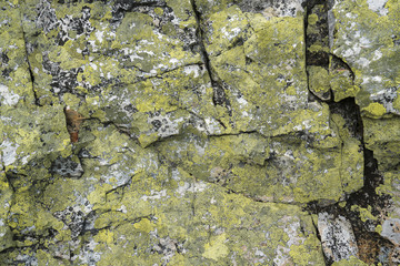 Green rock structure