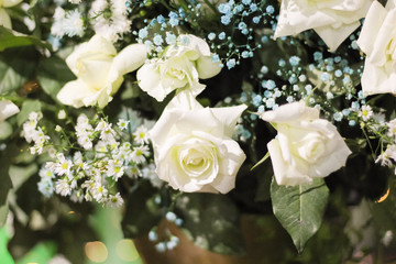 flores de decoração