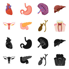 Vector illustration of body and human symbol. Collection of body and medical stock vector illustration.