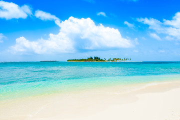 Fototapeta premium Beautiful sandy beach in uninhabited island