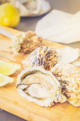 Raw oysters shells - one open and closed ones, toned