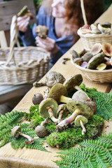 Mushroom picking on the table