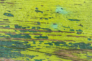 Wood wall background or texture. Natural pattern wood background