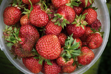 Ripe strawberries on a wooden background