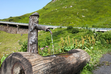 water tap in a wooden stump in, green mountain background