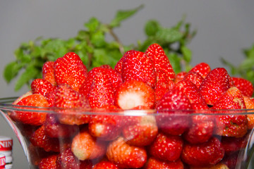 frutas tropicais