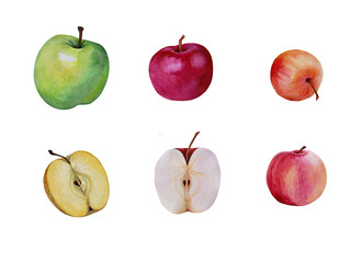 Set of apples in watercolor