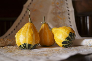 Gourd (pumpkins) on rustic background - background for Halloween
