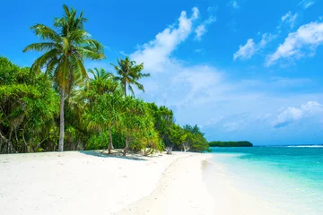 Foto op Plexiglas Tropisch strand Beautiful sandy beach in uninhabited island