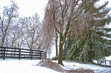 Naklejka premium Winter