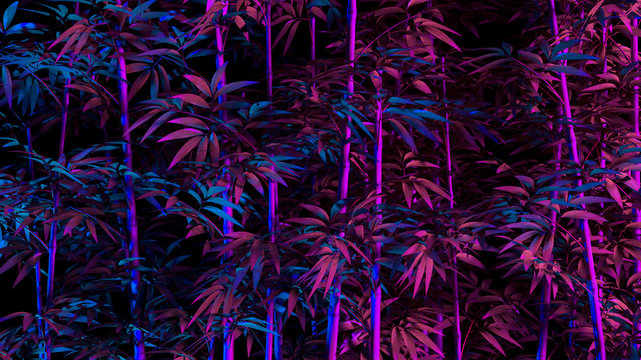 Tropical palm bambusa leaves in vibrant bold gradient holographic neon colors. Concept art. Minimal surrealism background