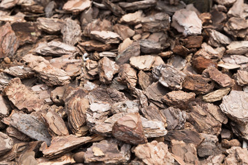 Brown wood shavings, wood chips background. Closedup.