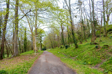 Hermoso Paisaje campestre