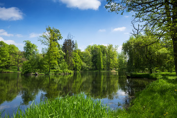 Countryside landscape with lake and trees under blue sky