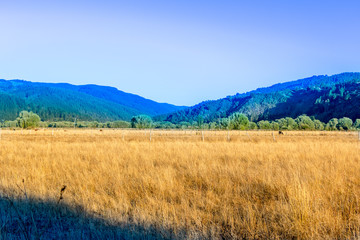Hermoso Paisaje campestre