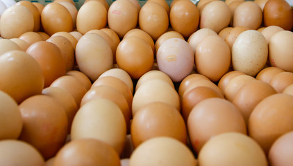 Texture and background of red eggs.