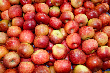 Texture and background of colorful apples.