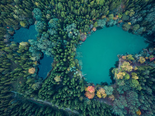 Aerial view of multiple lakes in the forest surrounded by colorful trees