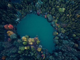 Aerial view of a lake surrounded by colorful trees in the forest at autumn