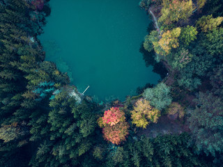Naklejka na ściany i meble Aerial view of a lake surrounded by colorful trees in the forest at autumn