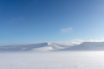 arctic view