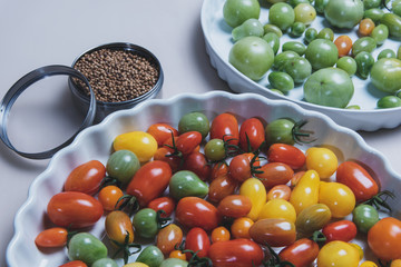 colorful tomatoes on the plate