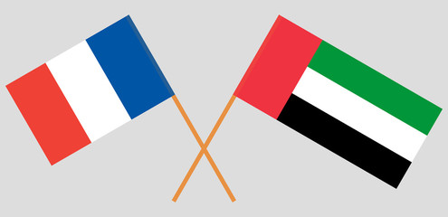 France and United Arab Emirates. The French and UAE flags. Official colors. Correct proportion. Vector