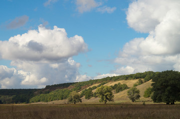 A spreading trees in a sunny picturesque autumn hilly valley, against a background of a clear blue sky with sparse clouds. Day's landscape in beautiful nature of Russia