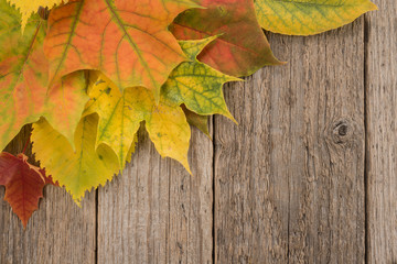 Naklejka na ściany i meble Autumn Leaves over wooden background 