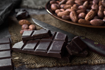 pieces of chocolate and cocoa seeds