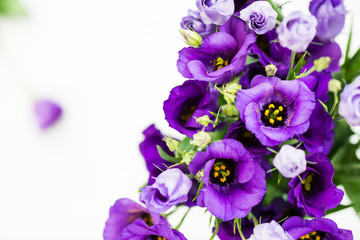 Obraz na płótnie Canvas Beautiful Bouquet of Purple Eustoma flowers, Lisianthus