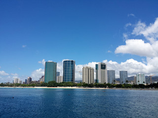 Fototapeta premium Ala Moana Beach Park with office building and condos in the background