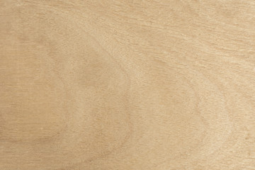 Light texture of birch plywood, close-up abstract background